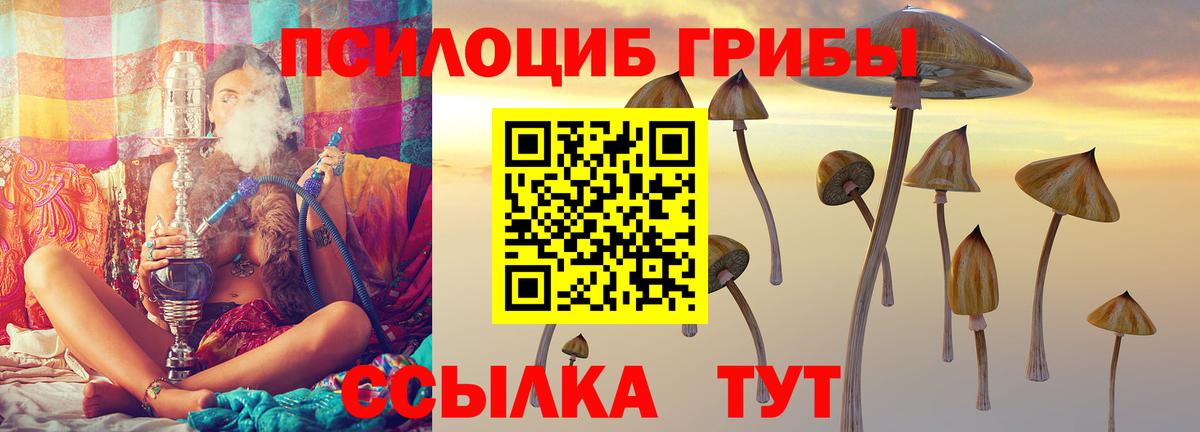 Биробиджан  Галлюциногенные грибы Psilocybe  Вход с VPN 